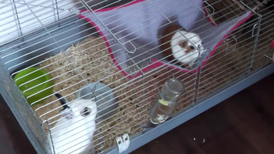 Nuria Millan - WUNF 387 UPDATED