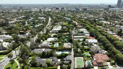 Little Puck, Avery Black - Quick Check 14 08 2026