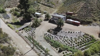 The Doctrine 2026 08 25