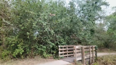 JacquieEtMichelTV ChloFit 22 Years Old Continues His Show With Two Guys 13 09 2026