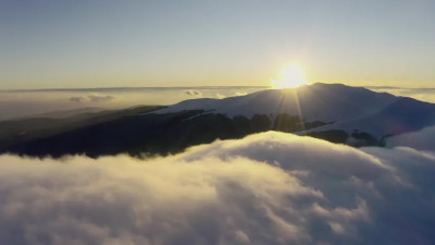 A Day In The Life Of Aya 2024 05 07