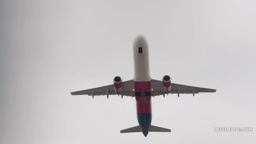 LifeSelector - Angelika Grays, Matty Mila Perez - Bratty Stewardesses - Watch Latest Porn Video at ePornHome.com for Free.