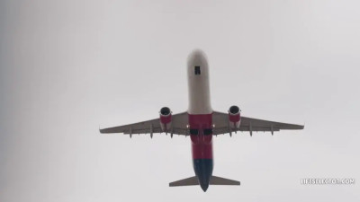 LifeSelector - Angelika Grays, Matty Mila Perez - Bratty Stewardesses