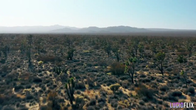 Honey Gold - Earth 2024 09 06