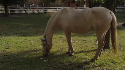 Rebel Rhyder, Kelly Stafford, Lilly Mays - Rebel Meets Rebel 09 01 2025