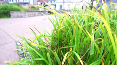 Lyia, Zhelia 45 Years Old Shares A Hot Moment 22 01 2025