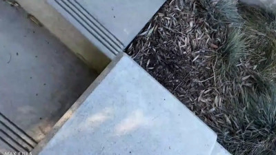 Angel Youngs, Hailey Rose - I Picked Up These Two Busty College Babes And Took Them Home