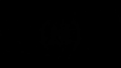 Polly Yangs - Euphoria 2025 02 09