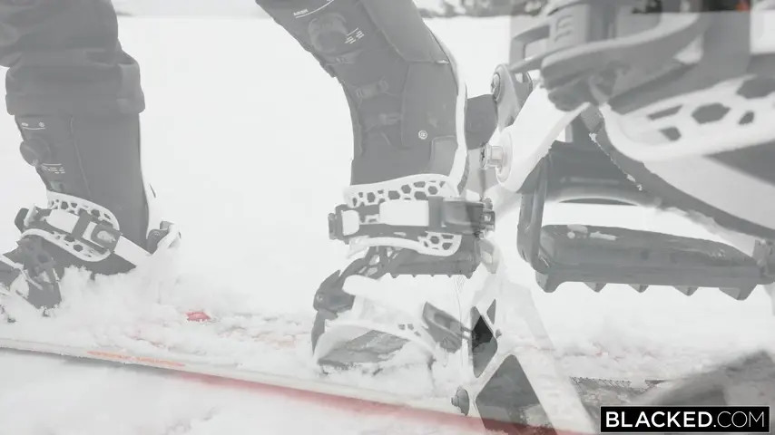 Ashley Winter - Stars 8 - Watch Latest Porn Video at ePornHome.com for Free.