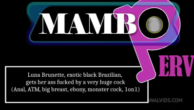 LegalPorno - Luna Brunette OB485 06 05 2025