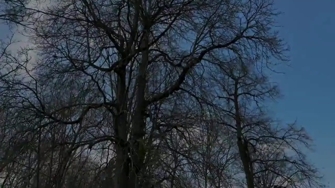 JacquieEtMichelTV Red Lily 33 Years Old From Dunkirk 28 04 2025 - Watch Latest Porn Video at ePornHome.com for Free.