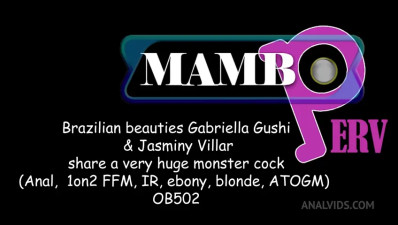 LegalPorno - Jasminy Villar, Gabriella Gushi OB502 13 06 2025