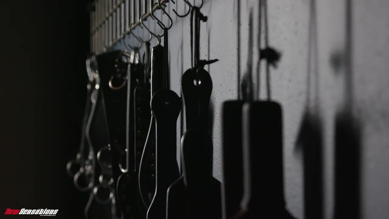 Natalia Starr - Electrified Natalia Starr Goes Far Beyond Driven 05 07 2025 - Watch Latest Porn Video at ePornHome.com for Free.