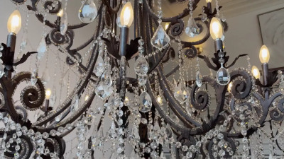 Hailey Rose - Boob Crush