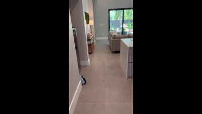 Scarlettkissesxo - Hardcore Cock Sucking Riding With Hot Pool Boy