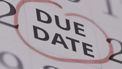 Kylie Rocket - Shared Chapter 1 - Company Matters 04 09 2025