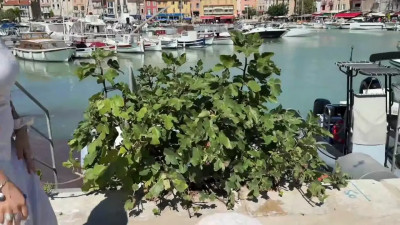 JacquieEtMichelTV Rose 20 Years Old Veterinary Student In Lille 11 09 2025