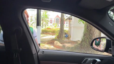 Sweetie Fox - British Student Sucked Off A Stranger In Car And Rough Fucks