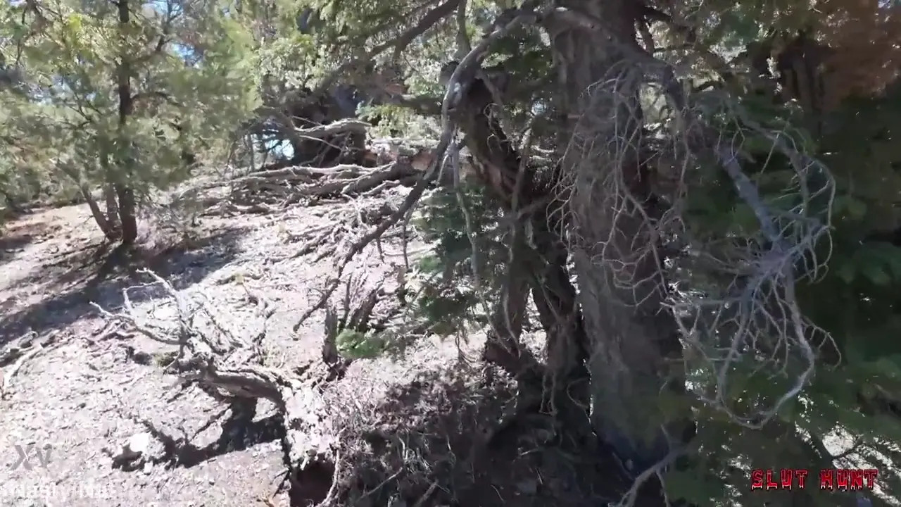 Natalie Brooks - Slut Hunt - Watch Latest Porn Video at ePornHome.com for Free.