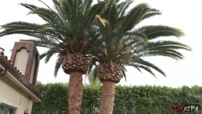 Gypsy Rose - Sharing Gypsy Rose's Pussy 21 10 2025