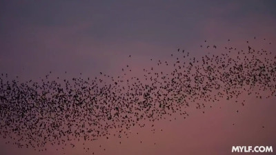 Elana Bunnz - Suck The Succubus Out Of Me 31 10 2025