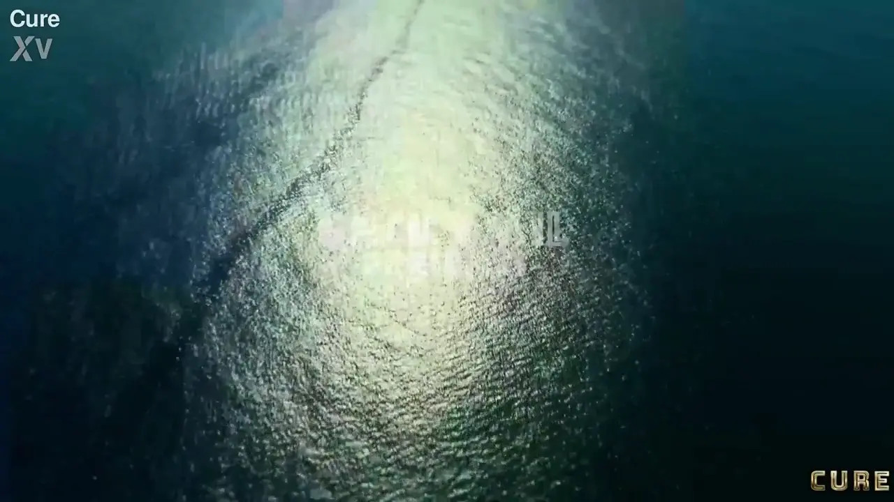 Tania Amazon, Rebecca Goodwin, Rhiannon Ryder - Whor Assic Park Crampies - Watch Latest Porn Video at ePornHome.com for Free.