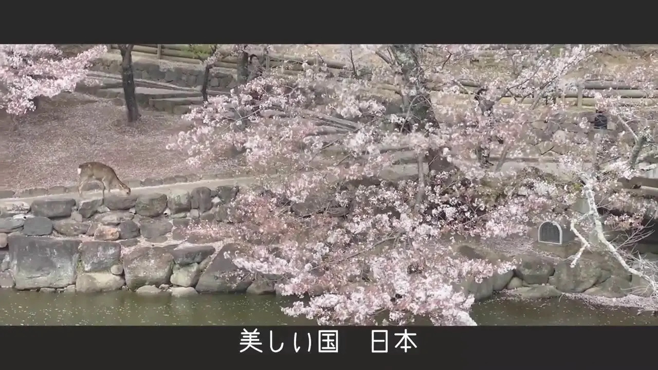 Melody Marks, Hinata Tachibana - Japanese Massage Lesbian Sex - Watch Latest Porn Video at ePornHome.com for Free.