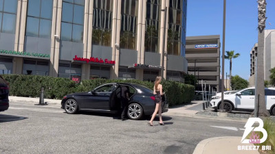 Breezy Bri - Bodyguard Fuck My All Holes