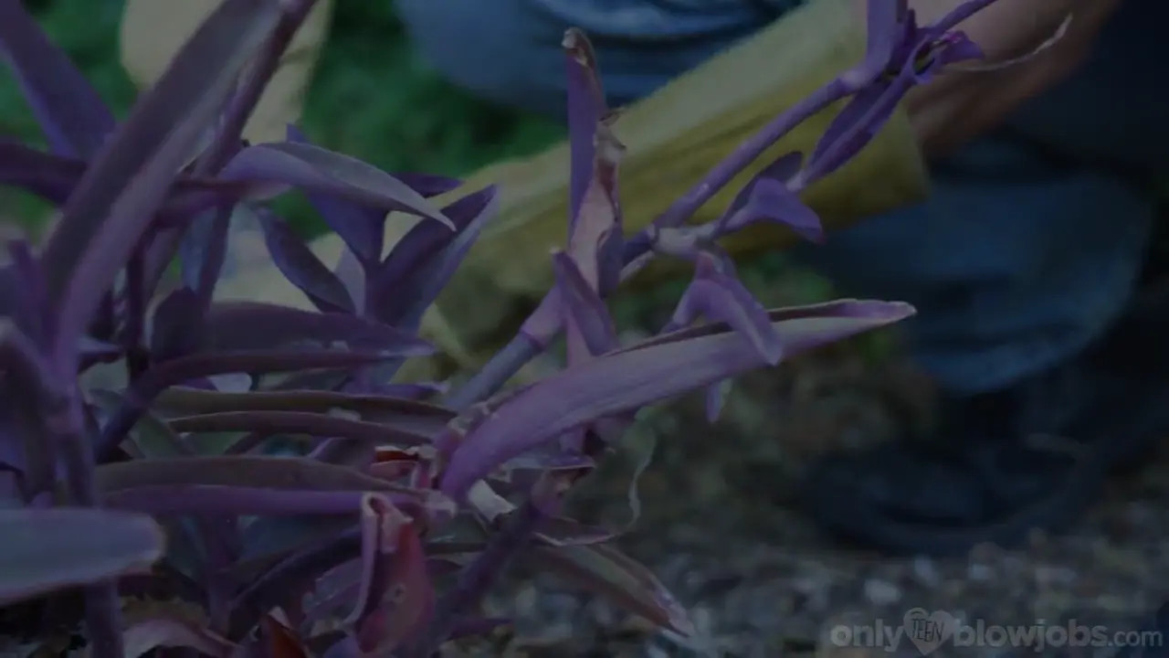 Athena Heart - The Lurking Gardener 11 12 2025 - Watch Latest Porn Video at ePornHome.com for Free.