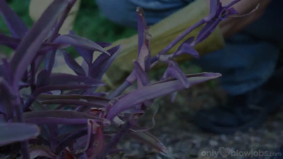 Athena Heart - The Lurking Gardener 11 12 2025