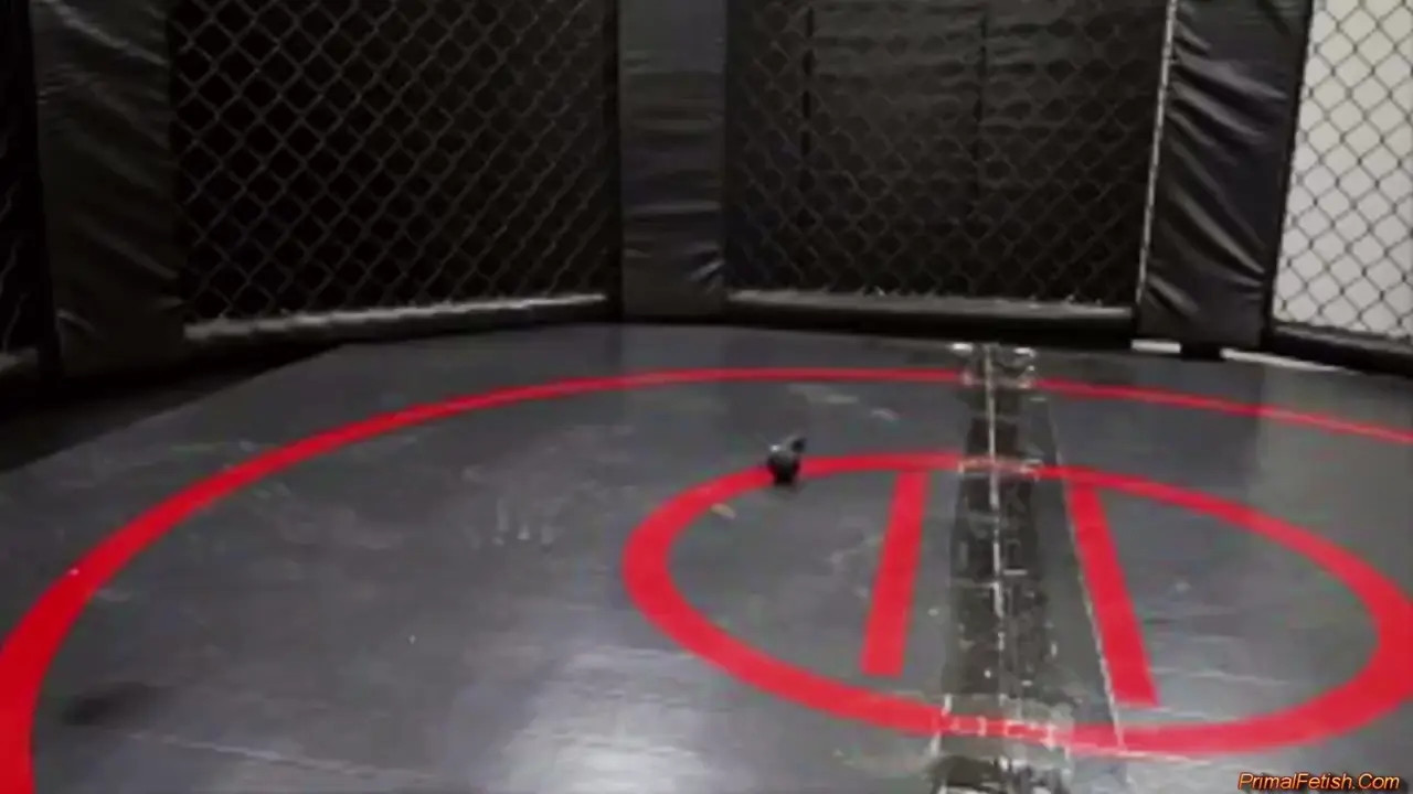 Briana Banderas - Lightning Angel Super Helo Roleplay Hardcore Fucking - Watch Latest Porn Video at ePornHome.com for Free.