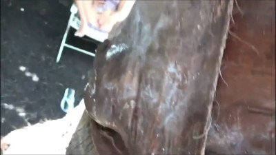 Selena Love - Sucks And Fucks Confidently