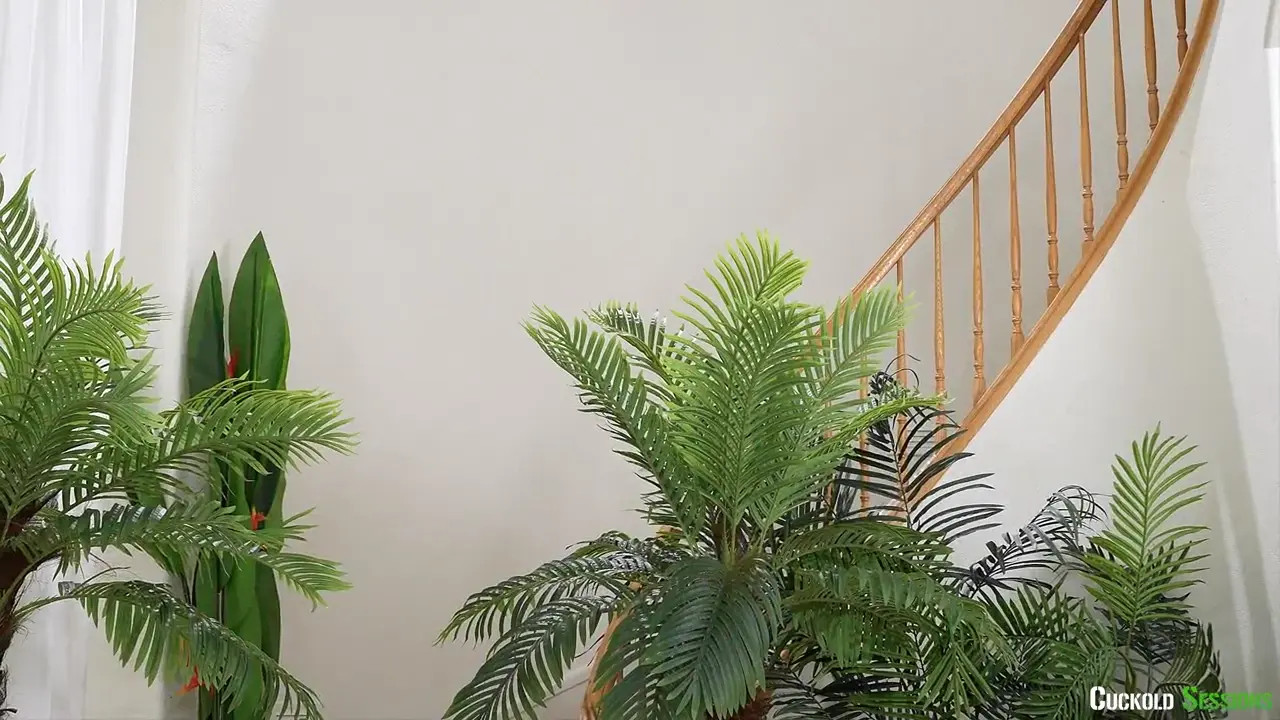 Cassie Del Isla - Getting The Job Done 24 01 2026 - Watch Latest Porn Video at ePornHome.com for Free.