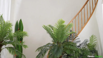 Cassie Del Isla - Getting The Job Done 24 01 2026