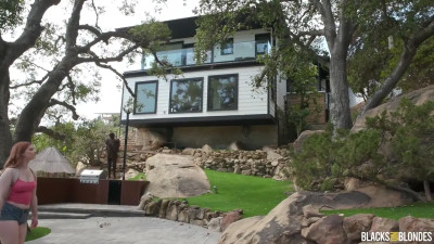 Harlow West - Is Not Your Average Tenant 30 01 2026