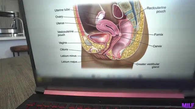 Jennifer White - Stepmom Teaches Sex Education - Watch Latest Porn Video at ePornHome.com for Free.