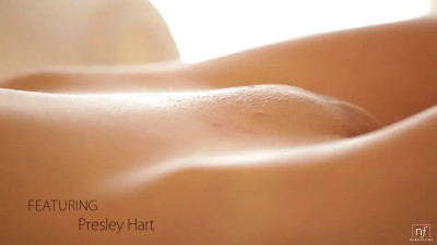 Presley Hart - The Perfect Touch