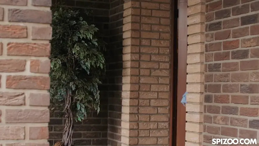 Sofia Smith - Cleans Up Before Receiving A Messy Facial 04 02 2026 - Watch Latest Porn Video at ePornHome.com for Free.