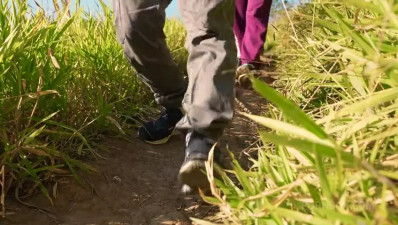 LegalPorno - Akina Asmus FLX078 13 03 2026