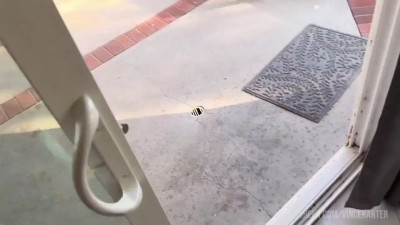 OnlyFans - Aderes Quinn, Vince Karter - Kinky MILF Fucking In The Pool And Underwater