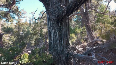 Willow Ryder - Slut Hunt Ep 10 - Willow Gets Wrecked And Pissed On